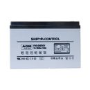 PRO-ENERGY AGM Batteria 12-100 Ah
