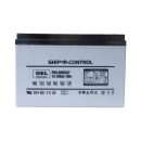 PRO-ENERGY GEL Batteria 12-100 Ah