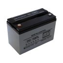 PRO-ENERGY GEL Batteria 12-100 Ah