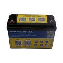 PRO-ENERGY LiFePO4 Litio 12,8V 100Ah Bluetooth