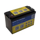 PRO-ENERGY LiFePO4 Litio 12,8V 100Ah Bluetooth
