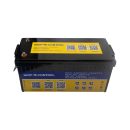 PRO ENERGY Litio LiFe PO4 Smart BMS 38,4V 100A Bluetooth
