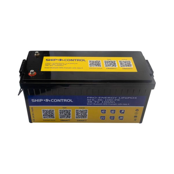 PRO ENERGY Litio LiFe PO4 Smart BMS 38,4V 100A Bluetooth - immagine 4