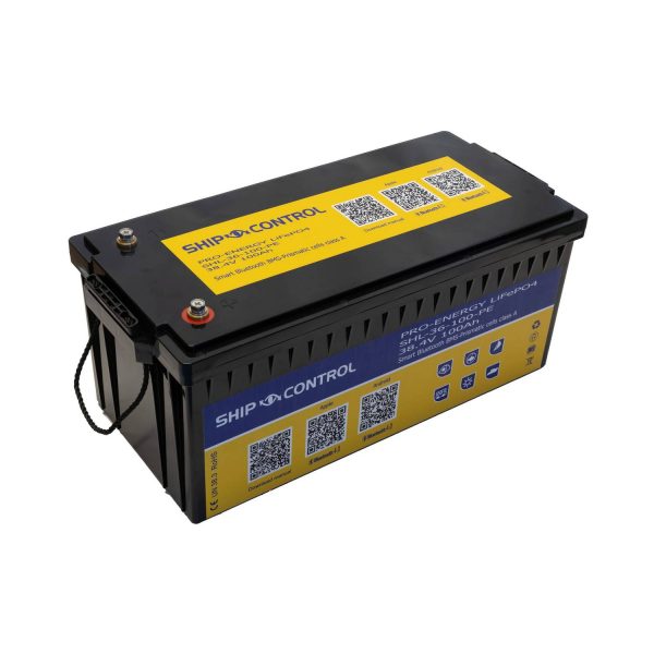 PRO ENERGY Litio LiFe PO4 Smart BMS 38,4V 100A Bluetooth - immagine 2